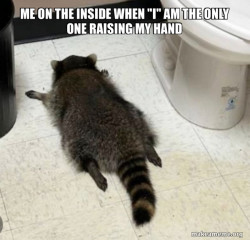 Drunk Raccoon
