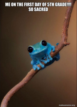 Small Fact Frog