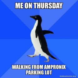 Socially Awkward Penguin