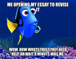 Dory from Nemo  (5 second memory)