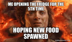 Frodo it's over it's done