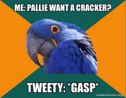 Paranoid Parrot
