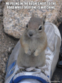 Peeing Squirrel