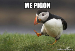 Unpopular Opinion Puffin