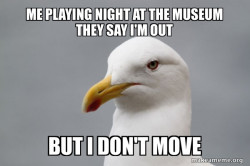 Stuff That Didn't Happen Seagull