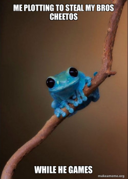 Small Fact Frog