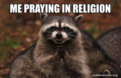 Evil Plotting Raccoon
