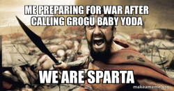 The 300