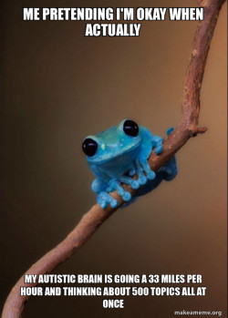 Small Fact Frog