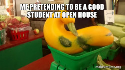 Gourd Advice Mallard