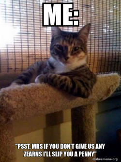 The Most Interesting Cat in the World