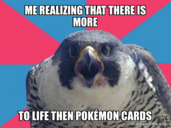 Millennial Falcon