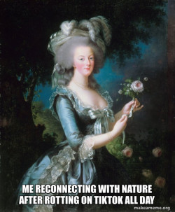 Marie Antoinette Let Them Eat Cake