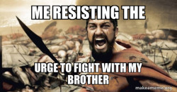 The 300