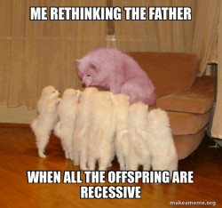 Malicious Storytelling Dog