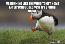 Unpopular Opinion Puffin