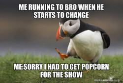 Unpopular Opinion Puffin