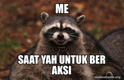 Evil Plotting Raccoon