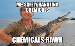 Steve irwin
