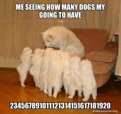 Storytelling Dog