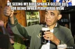 Upvote Obama