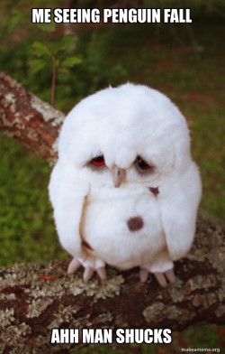 Sad Owl