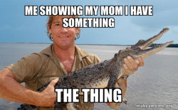 Steve irwin