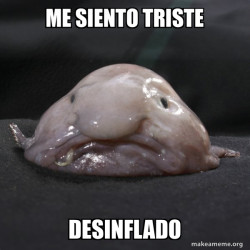 Blobfish