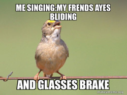 Common Opinion Sparrow