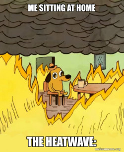 This Is Fine