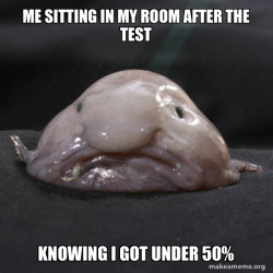 Blobfish