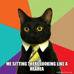 Business Cat