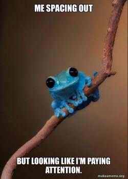 Small Fact Frog
