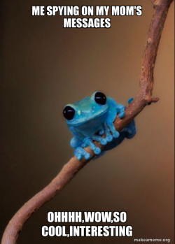 Small Fact Frog