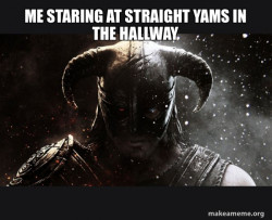 Skyrim