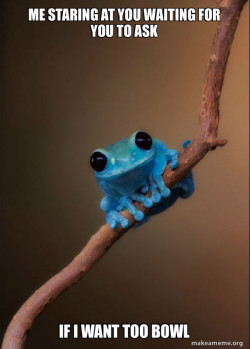 Small Fact Frog