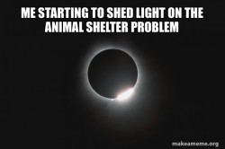 Eclipse