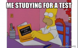 Computer Homer