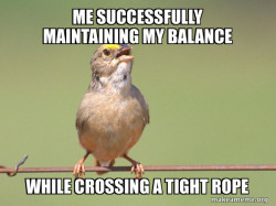 Common Opinion Sparrow