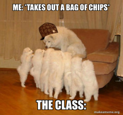 Scumbag Storytelling Dog