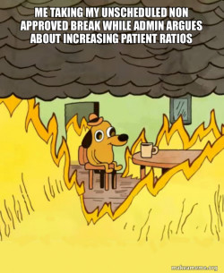This Is Fine