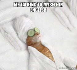 Pampered Cat Meme