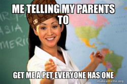 Scumbag Teacher