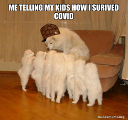 Scumbag Storytelling Dog