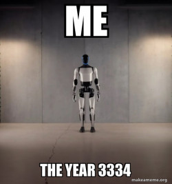 Tesla Robot