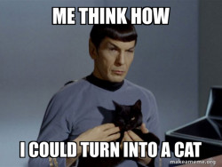 Spock and Cat Meme