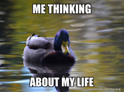 Zen Advice Mallard