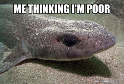 Dirty Joke Dogfish