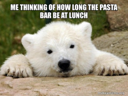 Popular Opinion Bear