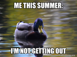 Zen Advice Mallard